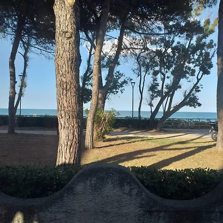 Bed & Breakfast Quadruple For A Totally Relaxing 20 Meters From The Sea Pineto